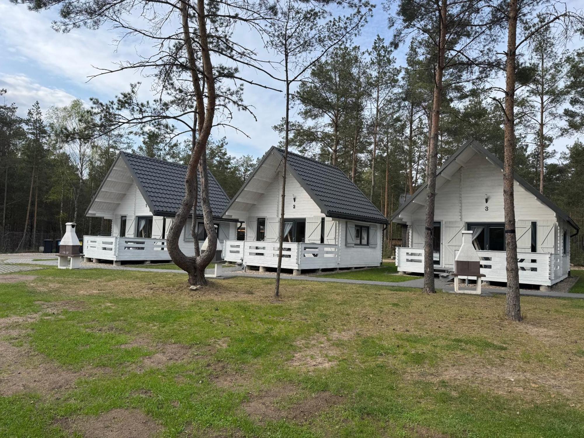 Villa Skrawek Nieba Borsk Esterno foto